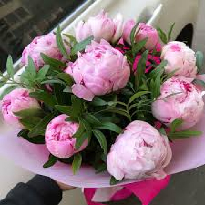 Пион древовидный в Атбасаре