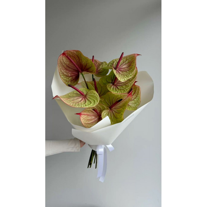 Антуриумы в Атбасаре