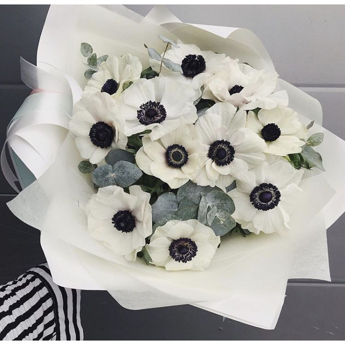 Анемоны в Атбасаре