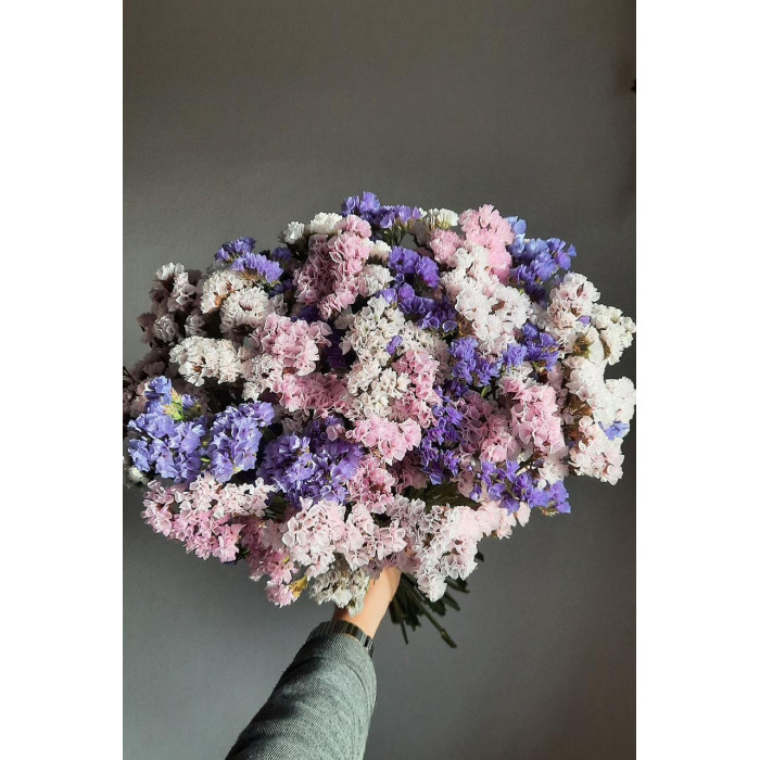 Статица (Лимониум) в Атбасаре