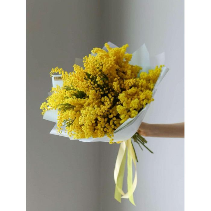 Мимоза в Атбасаре