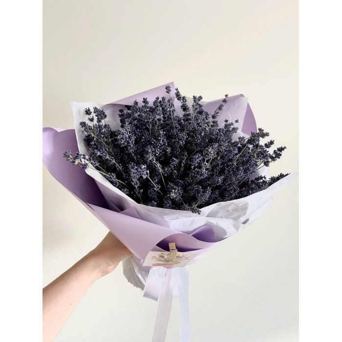 Лаванда в Атбасаре