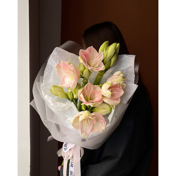 Амариллис в Атбасаре