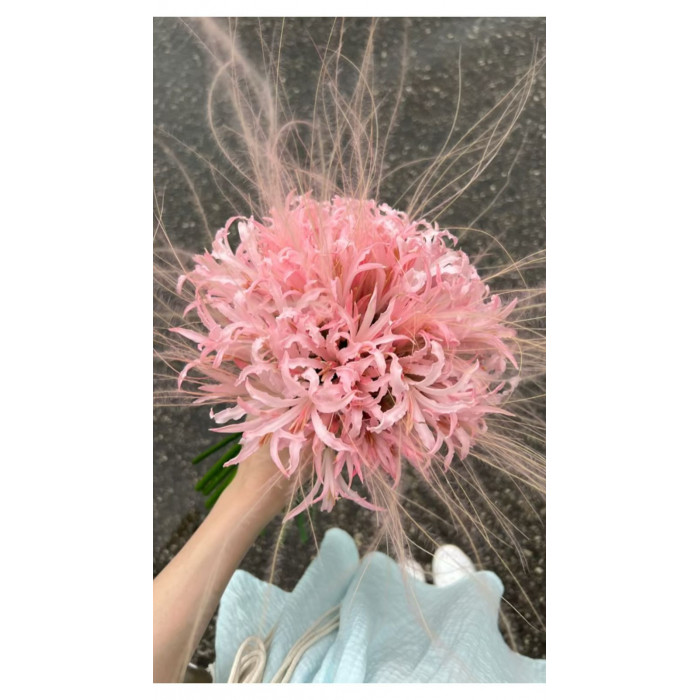 Нерине в Атбасаре