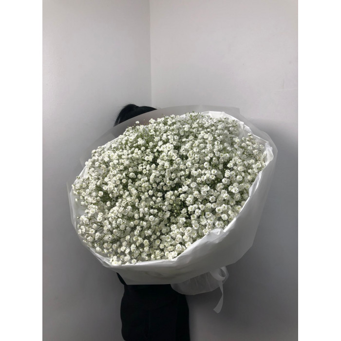 Гипсофила классическая в Атбасаре