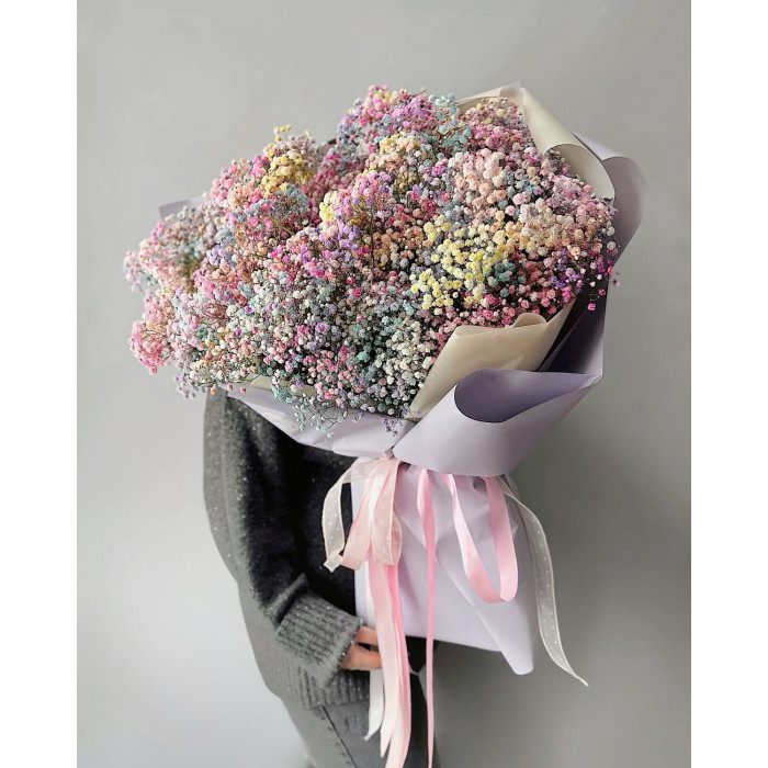 Гипсофила цветная в Атбасаре