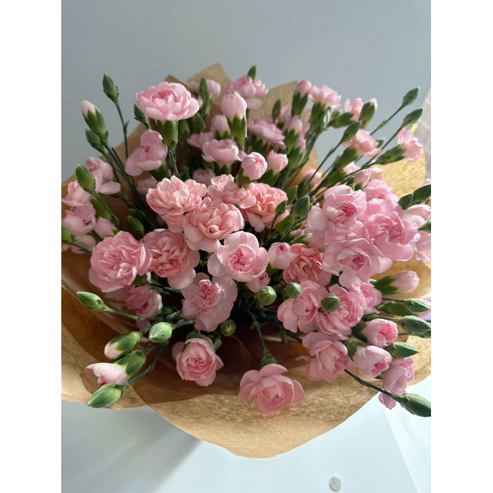 Кустовые гвоздики в Атбасаре