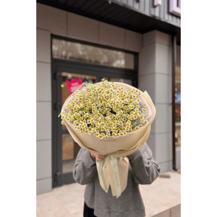 Танацетум в Атбасаре