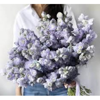 Букет из голубых делфиниумов